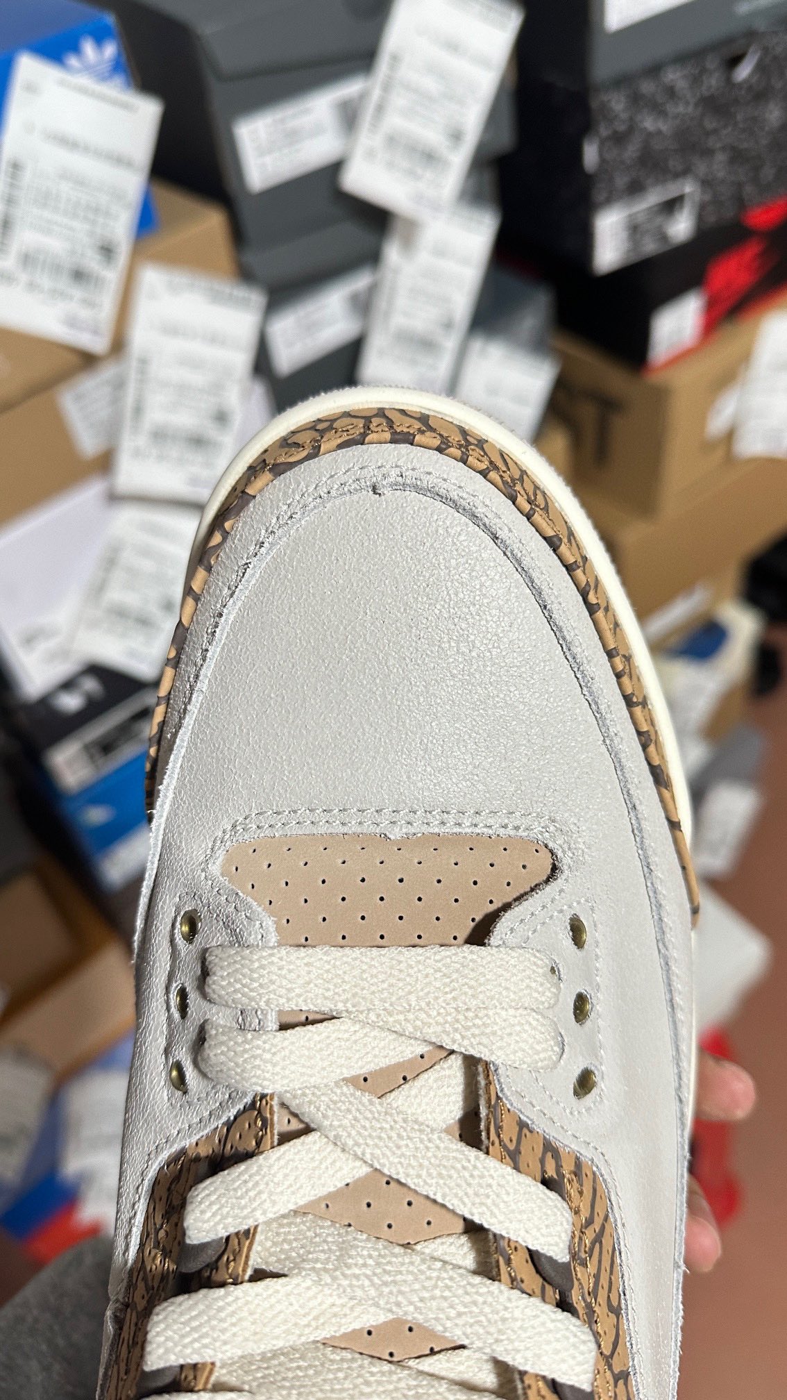 Nike Jordan shoe